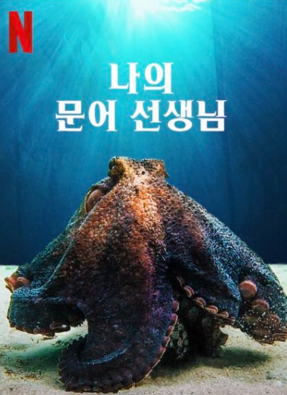 나의 문어 선생님 넷플릭스 포스터