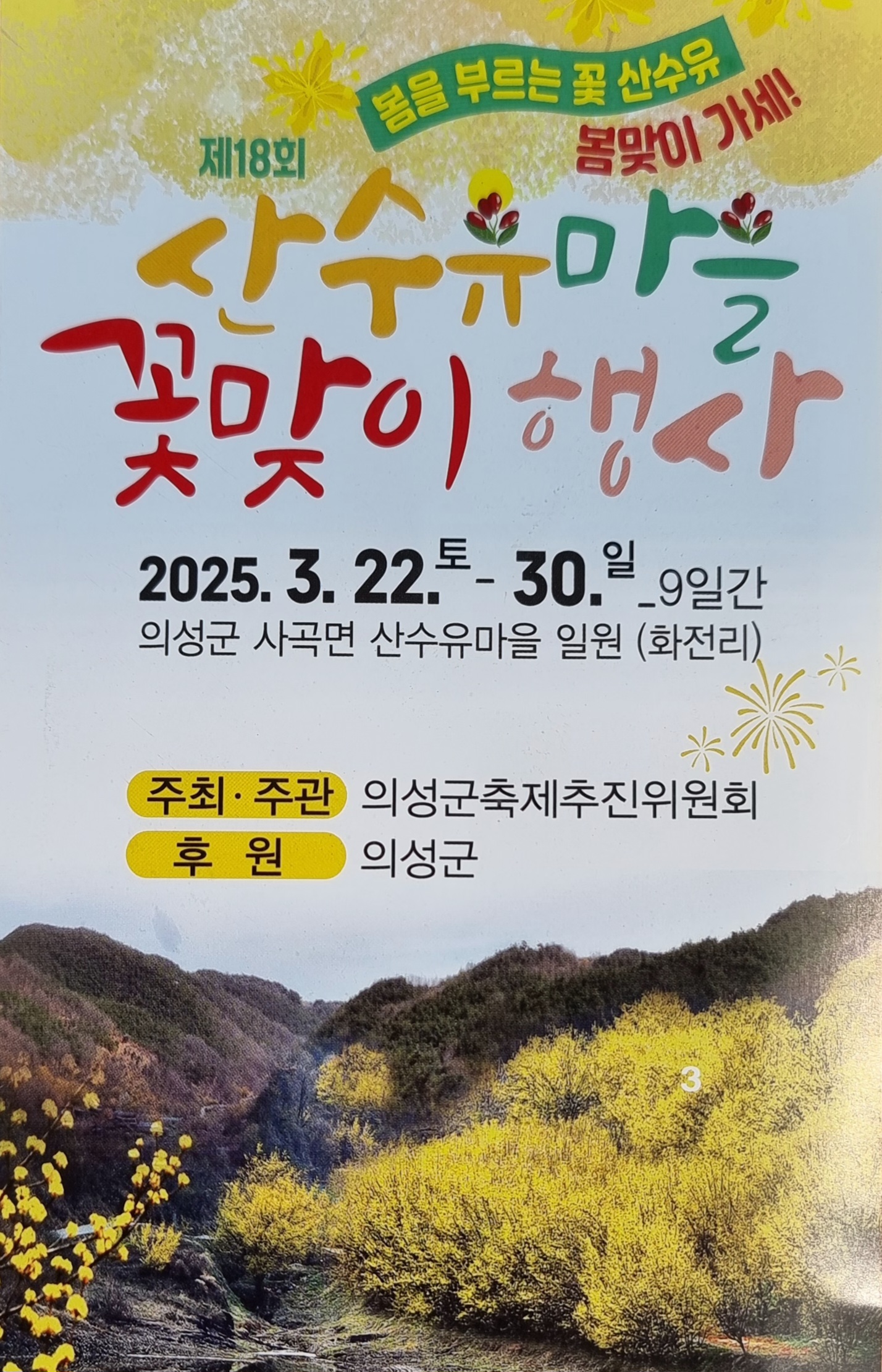 봄꽃 향기로 힐링되는 2025 의성군 산수유마을 꽃맞이 행사(산수유 축제)로 봄 맞이 가세!