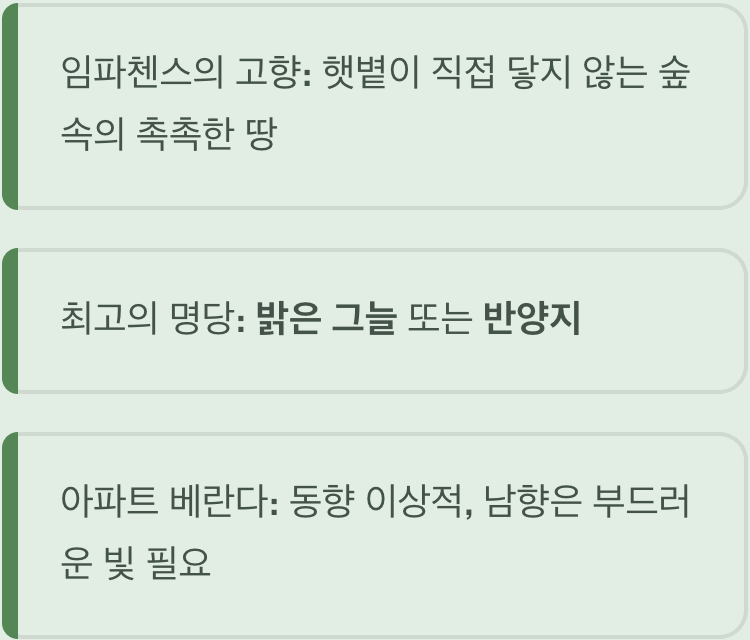 땡볕은 NO! '은은한 빛'을 즐기는 장소