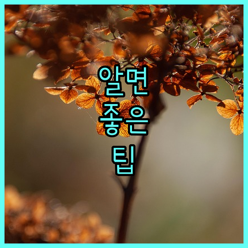 리프팅, 리쥬란 시술 주기는? 효과 