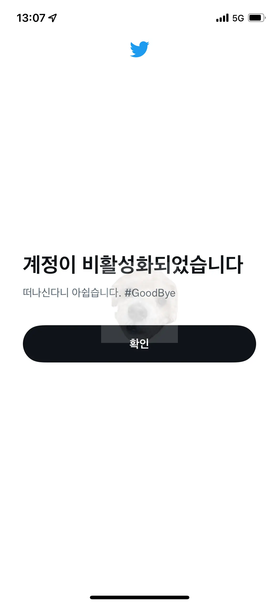 트위터 계정 비활성화 전 비밀번호 입력 사진과 비활성화 완료 된 후 사진