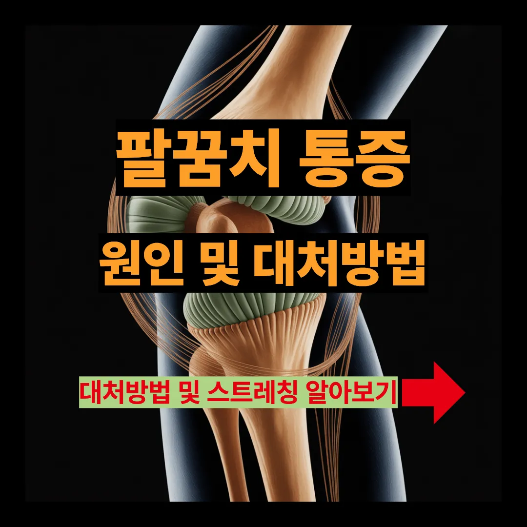 팔꿈치 통증 원인 및 대처방법 알아보기
