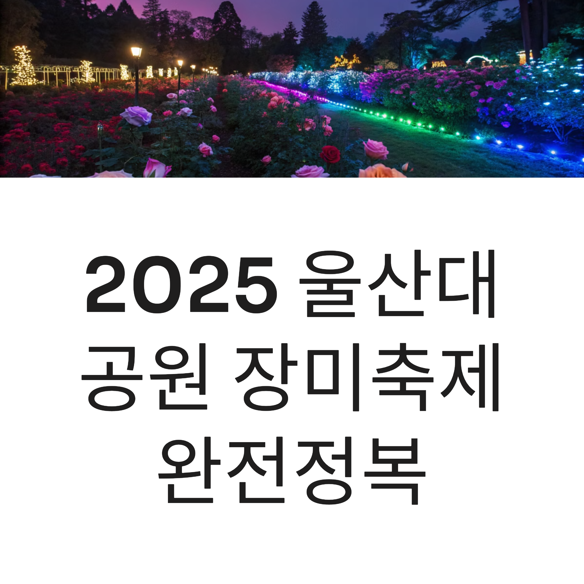 2025 울산대공원 장미축제 완전정복