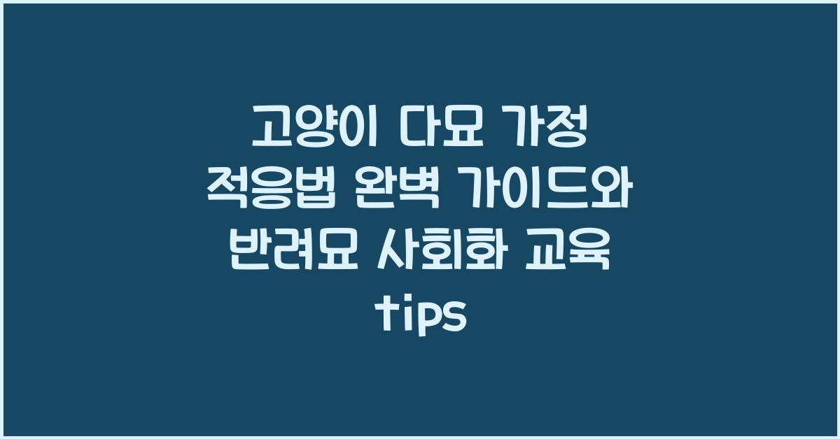 고양이 다묘 가정 적응법, 반려묘 사회화 교육