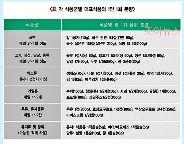식이섬유 섭취 주의사항, 식품군별 대표 식품 1회분량_국가건강정보포털