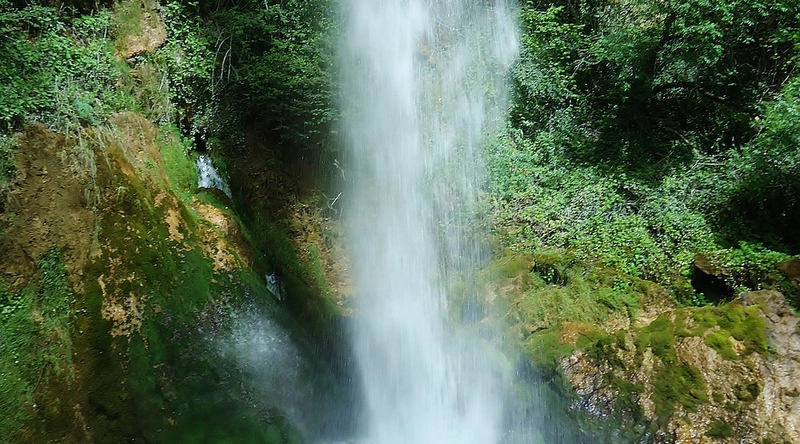 전선 설치 및 유지 관리