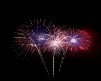 울산대공원 장미축제_22