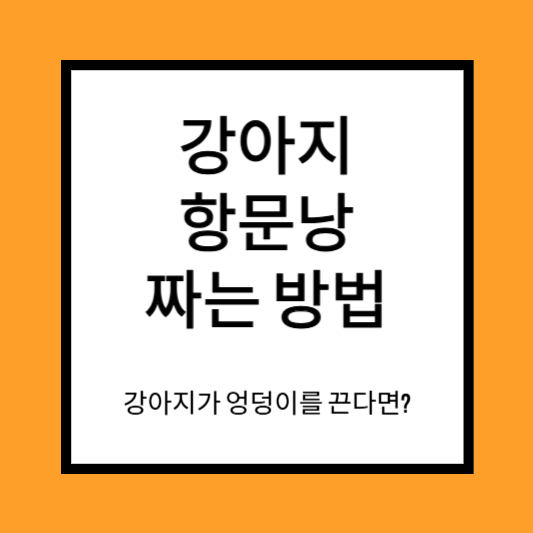 강아지 항문낭짜기