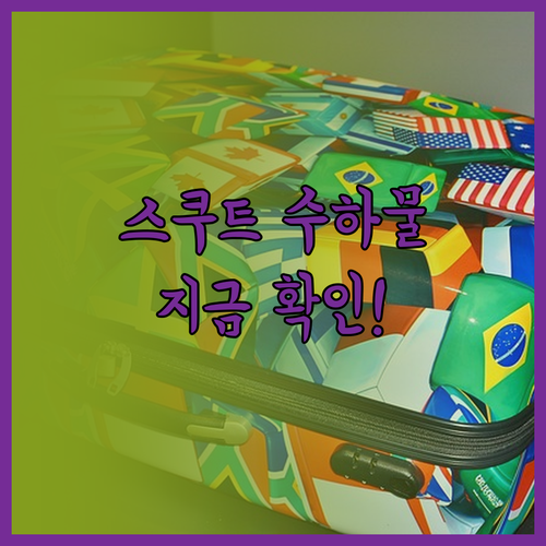 스쿠트 항공 수하물 규정 자주 묻는 ..