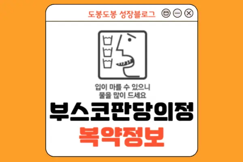 부스코판당의정 복약 정보 이미지