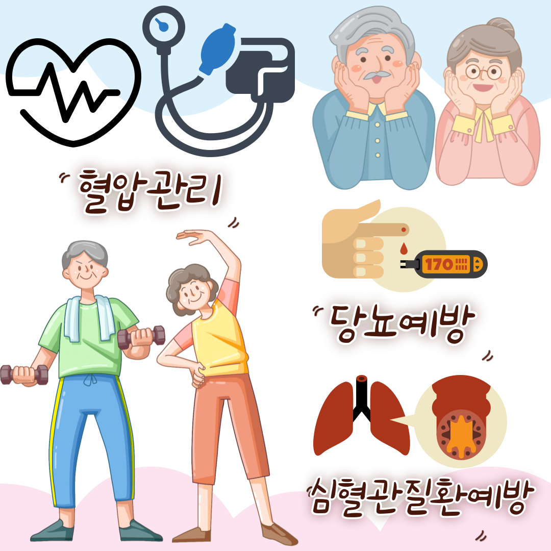 사과의 효능