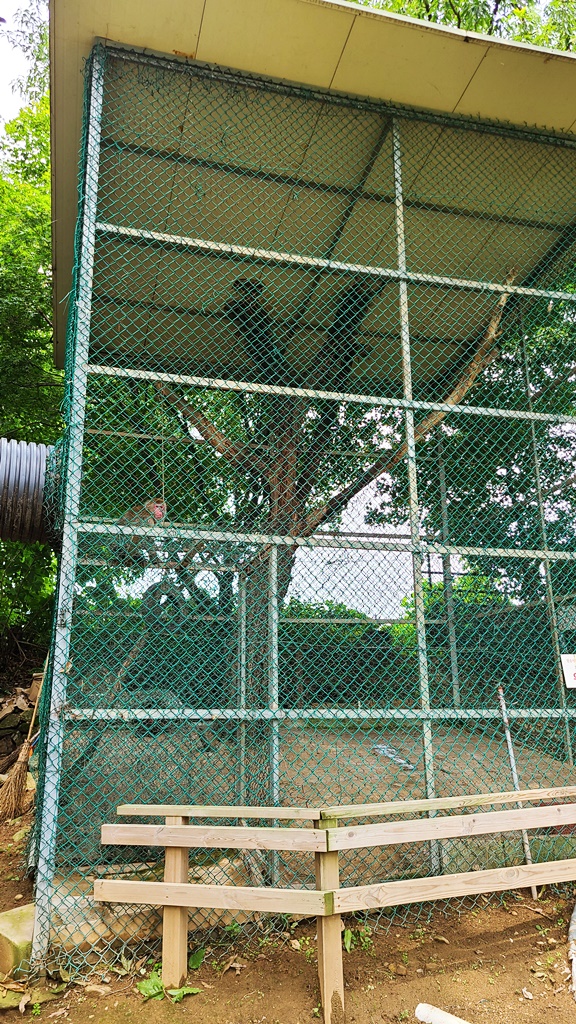 덕소자연사박물관-동물원