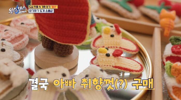 슬리퍼-헤어핀