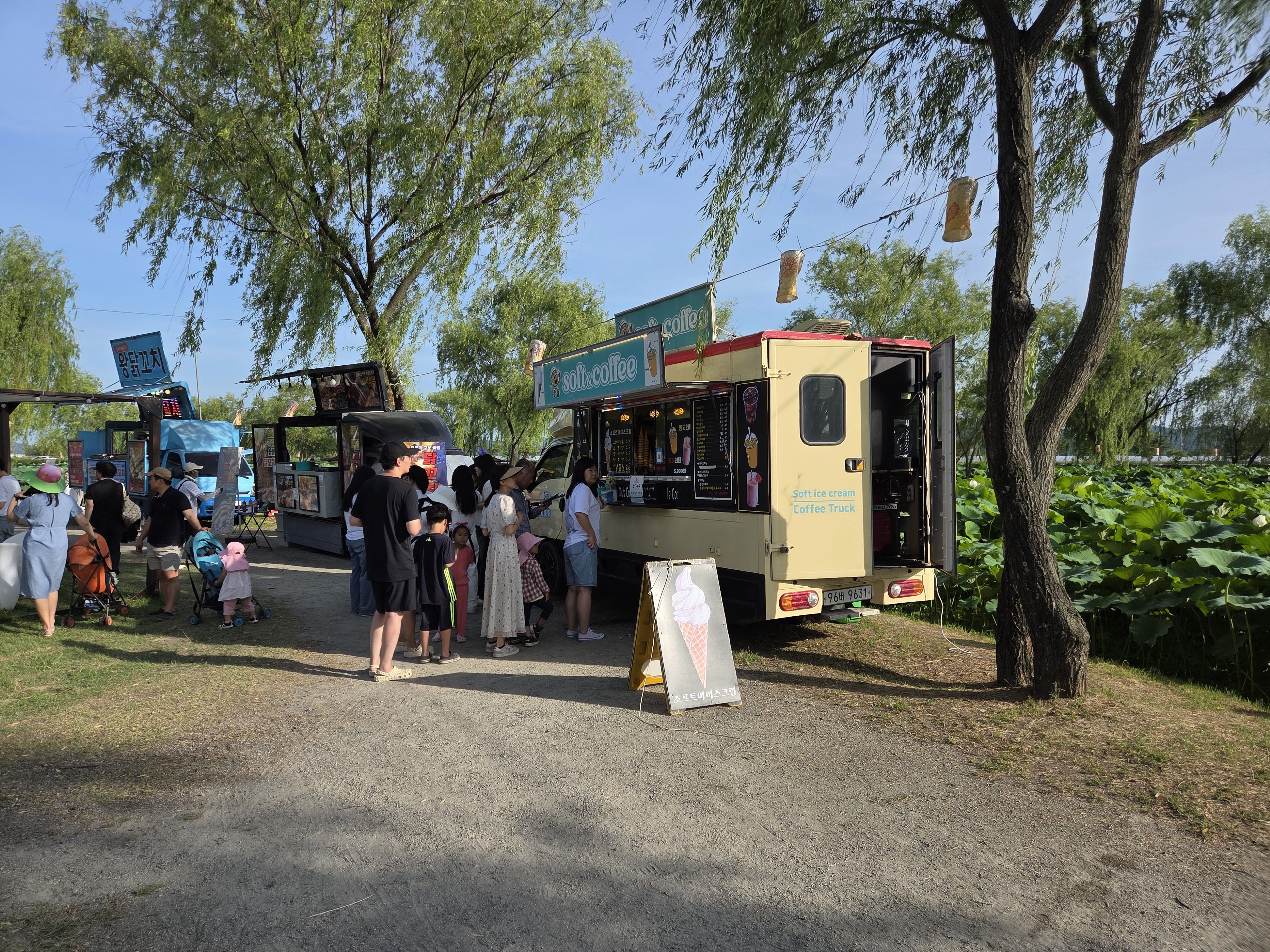 제23회 부여서동연꽃축제