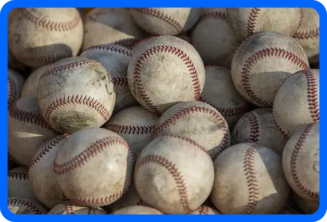 2024 WBSC 프리미어 12 일정표