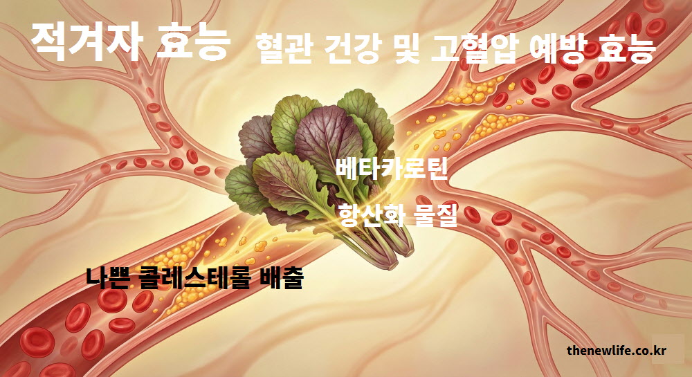 혈관 속 노폐물을 배출하고 혈액 순환을 돕는 적겨자의 작용을 시각화한 그래픽 이미지