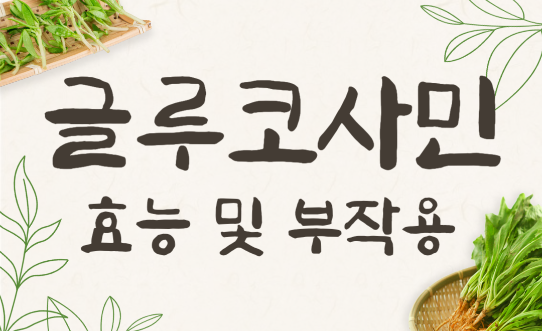 관절 건강 지키는 글루코사민, MSM, 콘드로이친 비교 분석