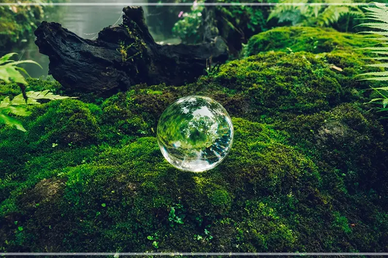 신한생명-무료운세-바로가기