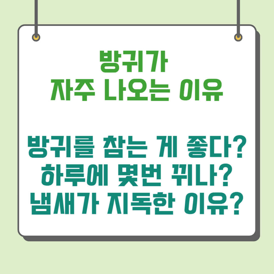 방귀가 자주 나오는 이유 지독한 냄새