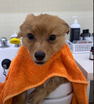 미용 관련 사진