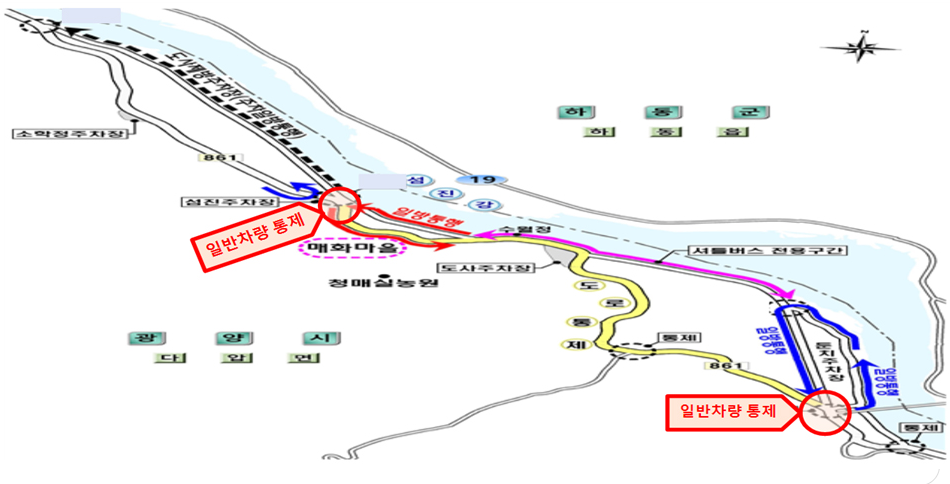 광양에서 매화축제