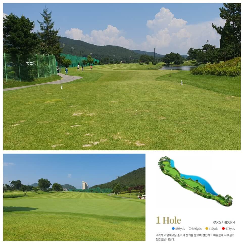 골프장 경험담 태안 스톤비치CC 완벽 가이드 서해 바다와 맞닿은 프리미엄 골프명소