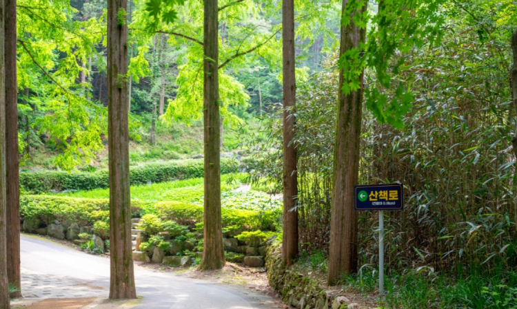 장태산 자연휴양림