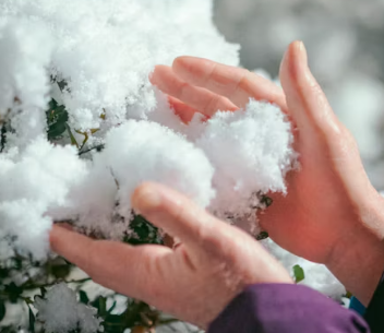 손발이 차가운 이유