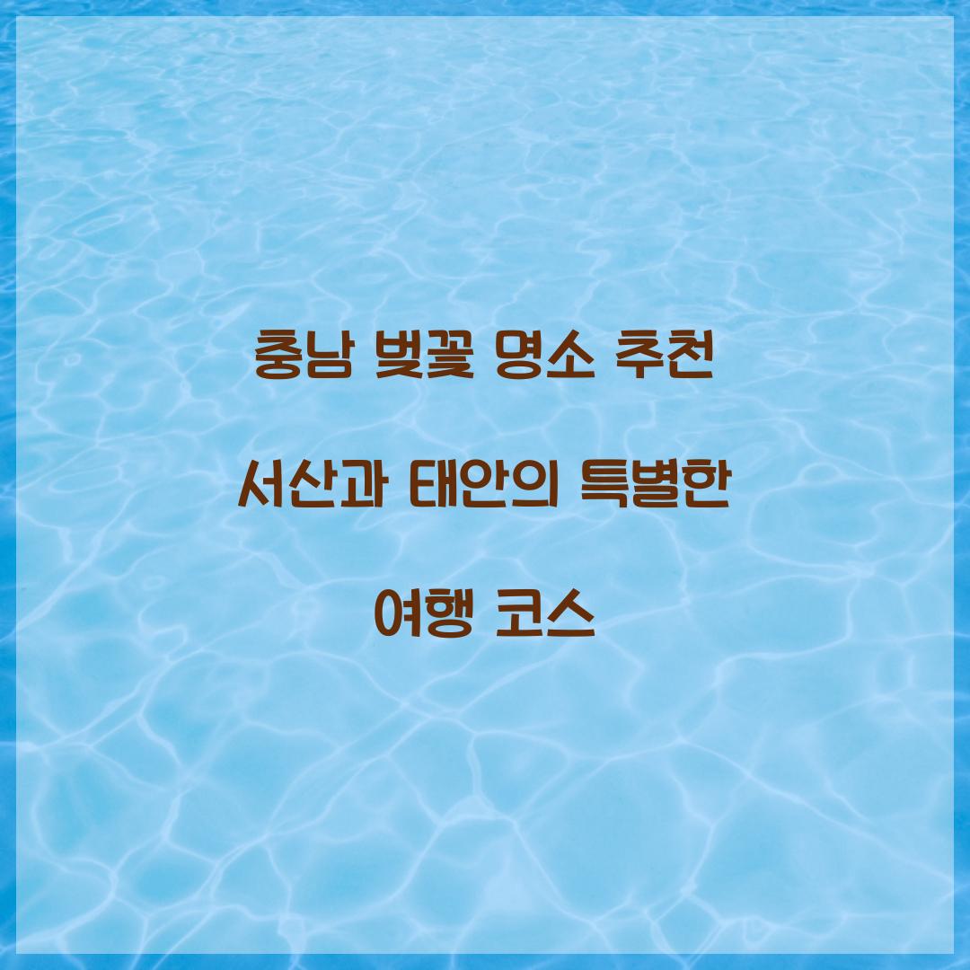 충남 벚꽃 명소 추천