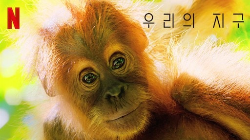 우리의 지구 넷플릭스 포스터