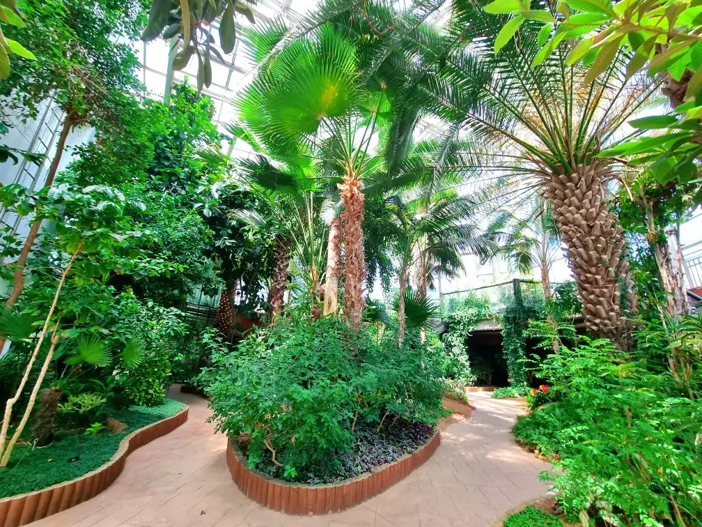 부천자연생태공원1. 부천식물원: 수다쟁이 카나리아가 노래하는 곳