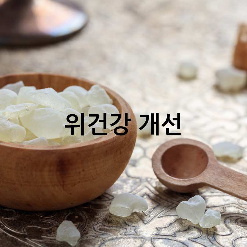 매스틱 효능,부작용,복용법