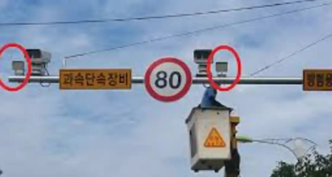 과속 단속 조회 실시간 확인 3