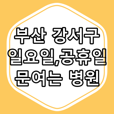 부산광역시 강서구 일요일, 공휴일 진료 병원과 진료 시간 알아보기