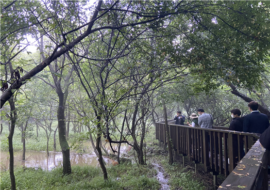 운곡람사르습지 생태탐방로 모습