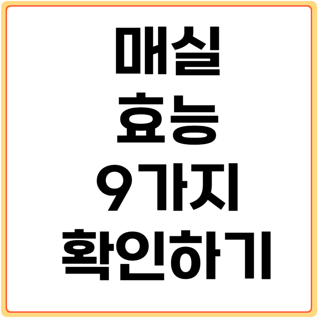 매실-효능-9가지-확인하기