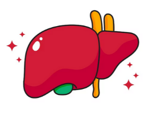 간염 증상