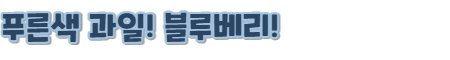 푸른색과일 블루베리