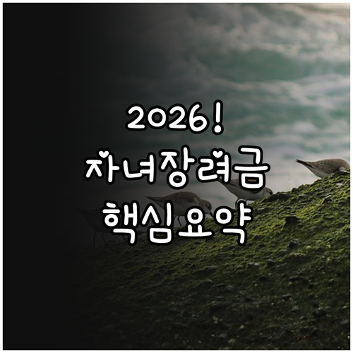 2026년 자녀장려금 신청 대상 확인..