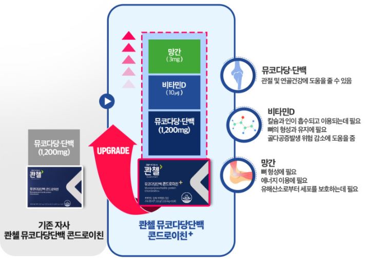 콴첼 뮤코다당단백 콘드로이친 플러스 철갑상어 1200