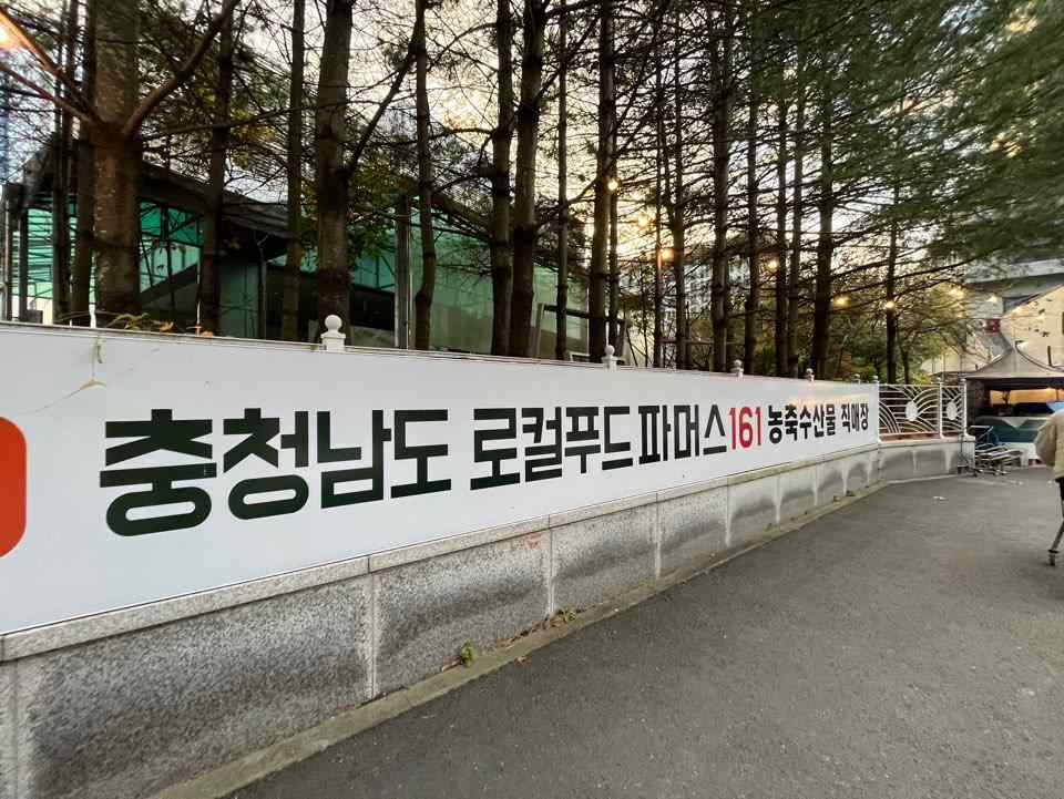 파머스161