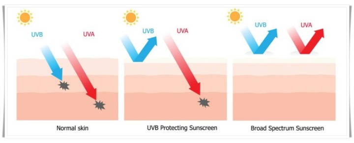SPF, PA에 따른 자외선 차단