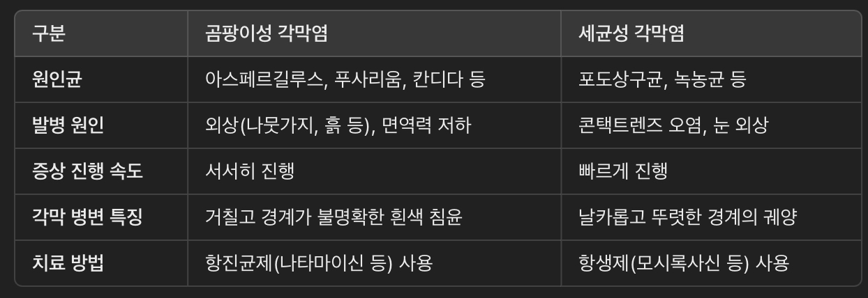 곰팡이성 각막염 vs. 세균성 각막염 비교