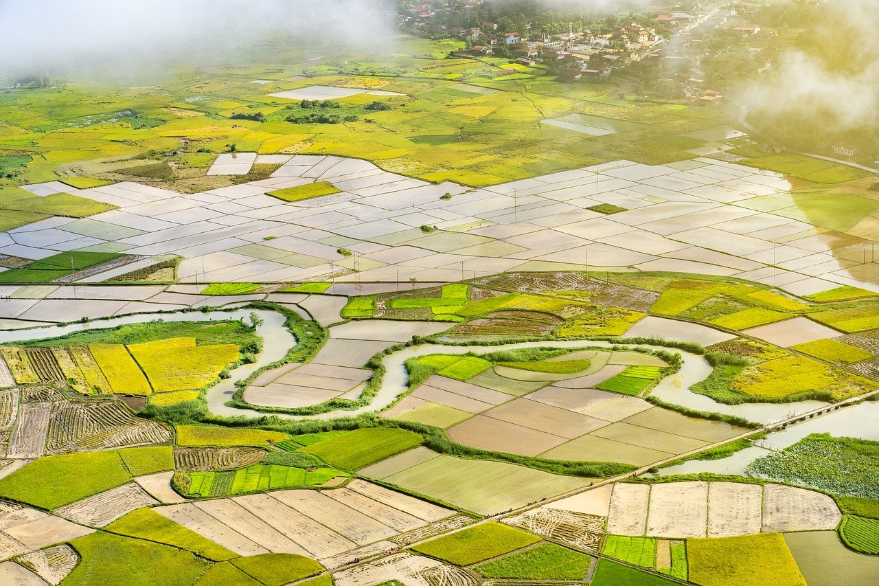 정부24 농지대장 인터넷발급 방법 총정리