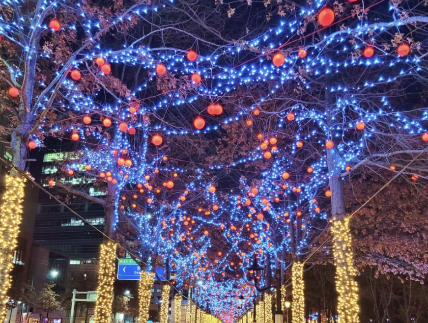 국채보상공원 애플트리1