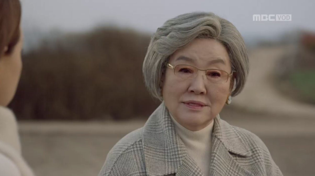 반효정 연기활동