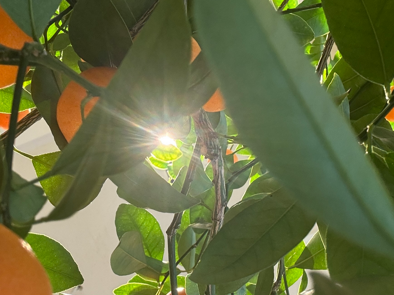 꿈풀이진짜의미이미지