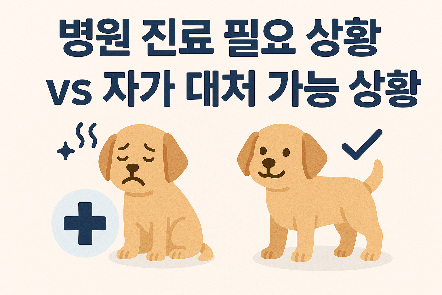 병원진료, 자가대처 이미지