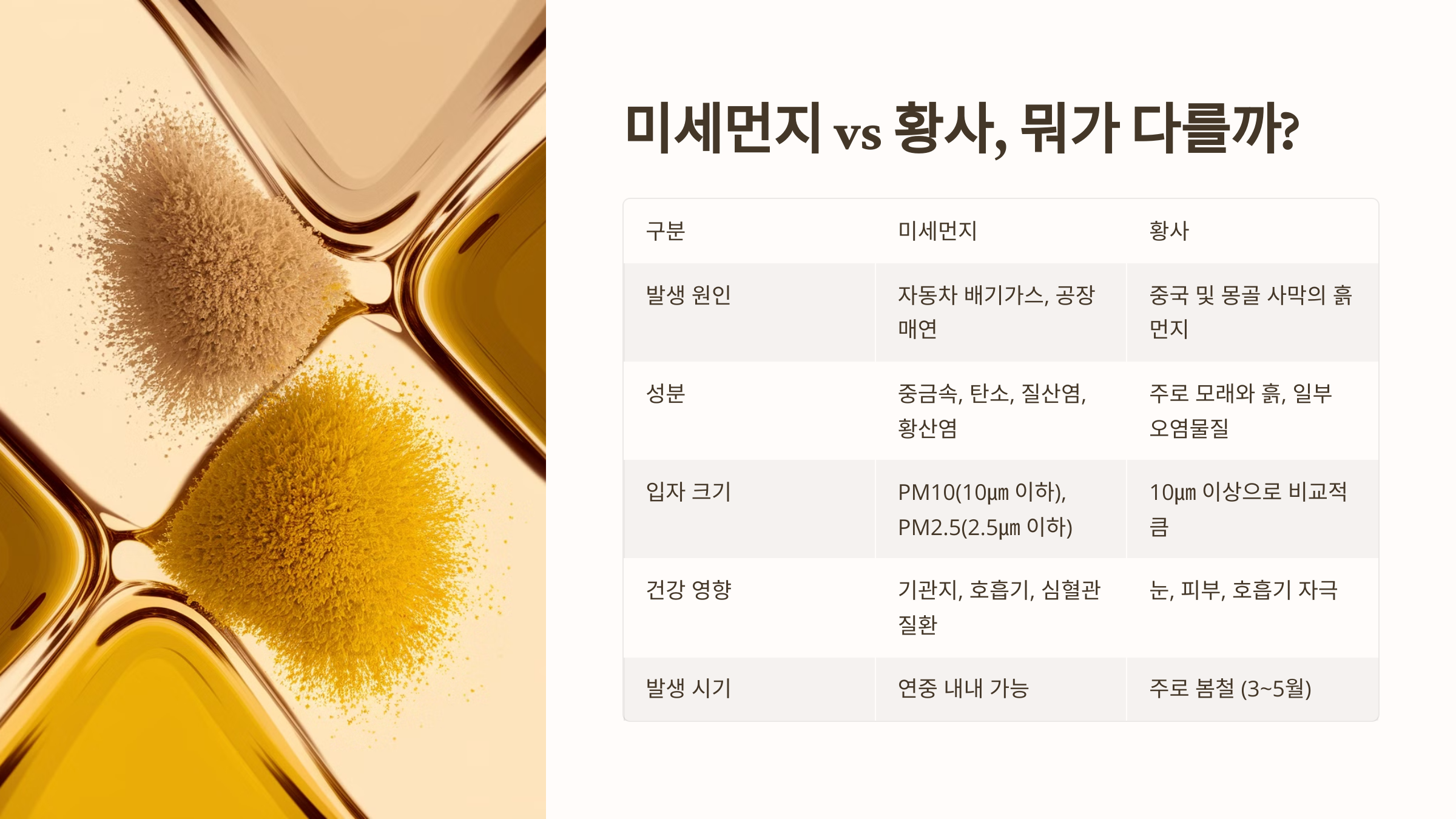 미세먼지 vs 황사, 뭐가 다를까?