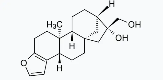 아메리카노와 콜드 브루의 차이